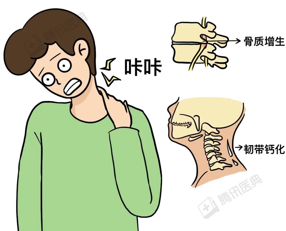 枕头高点好，还是矮点好？答案只有这一个(图7)