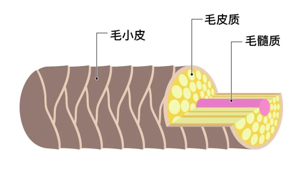 头发自然干和吹干谁更好？原来我们都搞错了，难怪头油还脱发！(图1)