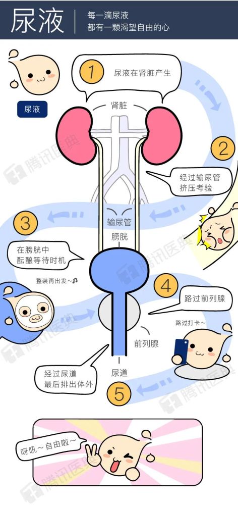 男生得了这3种羞羞的病，该看哪个科？女生慎入！