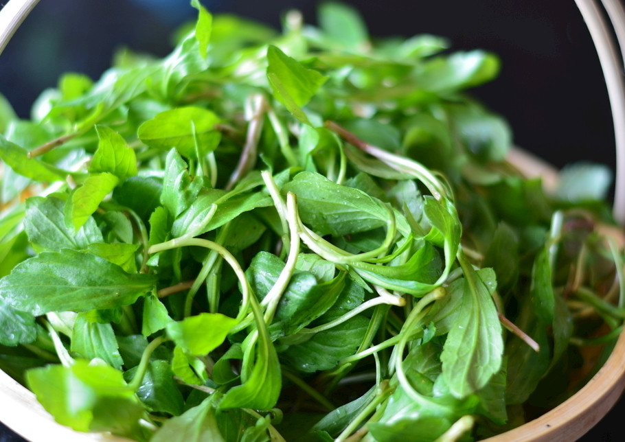 春天挖野菜，带你认识20种不同的野菜，营养丰富，凉拌调馅都好吃(图12)