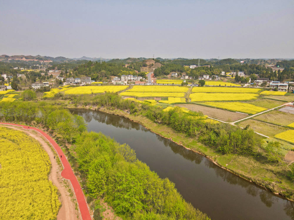 重庆最美赏花地在哪？潼南油菜花名列前茅，栽种历史已经500年(图4)