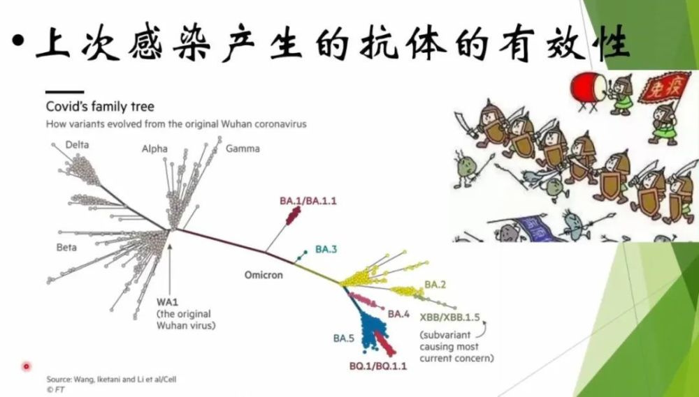 新冠“二阳”高峰将何时到来？要不要打疫苗？需要准备什么药物？(图8)